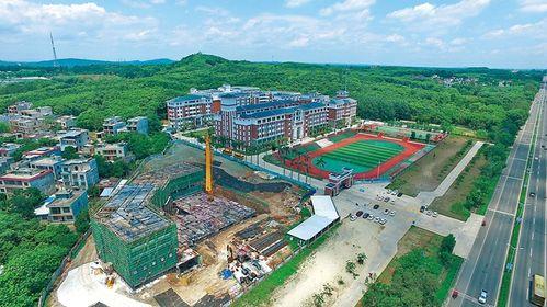 海南儋州爆料新闻最新,事件详情引关注  第2张